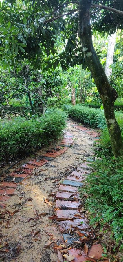 The Vintage Chikmagalur Apartment Exterior foto